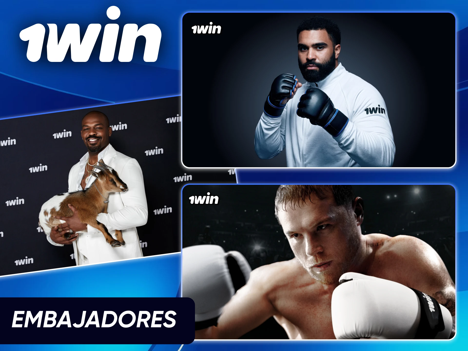 Embajadores de la marca 1win