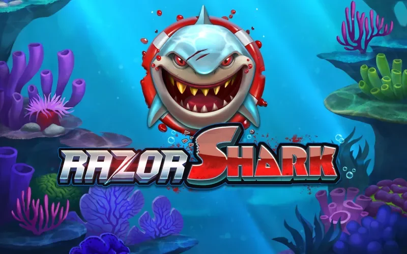 Domina Razor Shark en 1win y maximiza tus ganancias con la mecánica de Razor Reveal.