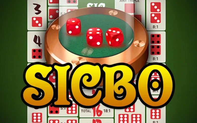 Domina Sic Bo en 1win y conviértete en un experto en apuestas.