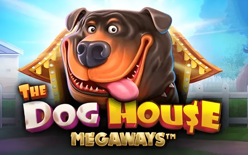 Gira los carretes de The Dog House Megaways en 1win y maximiza tus ganancias.