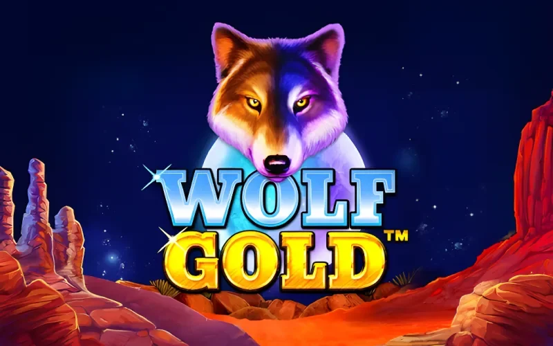 Apuesta en Wolf Gold en 1win y activa los giros gratis con símbolos gigantes.