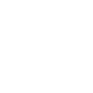 Apple Pay logo.