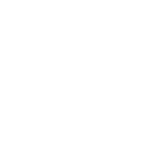 Evolution logo.
