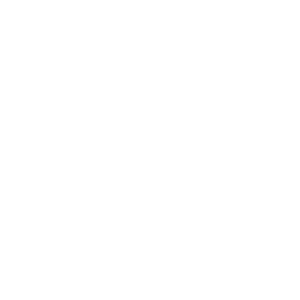 Logo NoLimit City